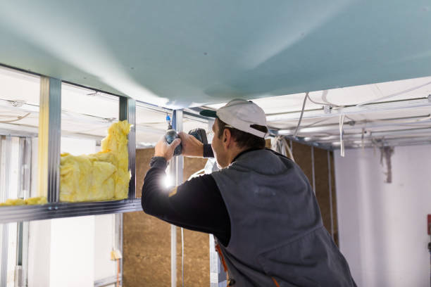 Best Insulation Replacement Services  in Forest, MS