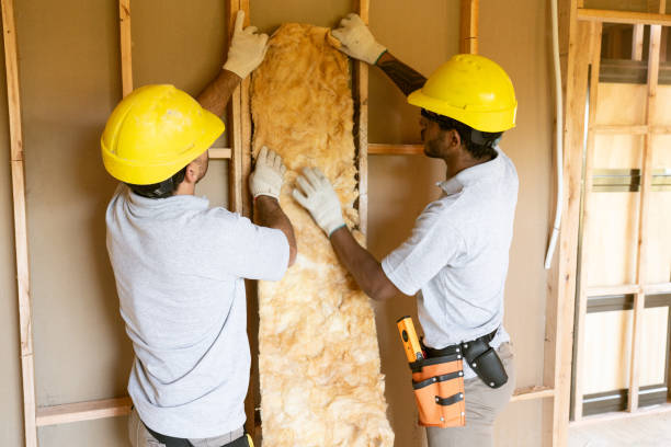 Professional Insulation Contractor in Forest, MS