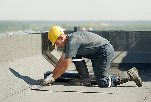 Best Garage Insulation Installation  in Forest, MS